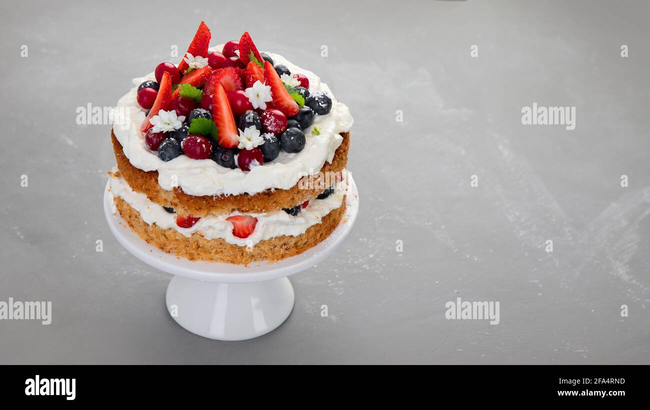 Delicious homemade cake with fresh berries and mascarpone cream on gray background. Copy space Stock Photo