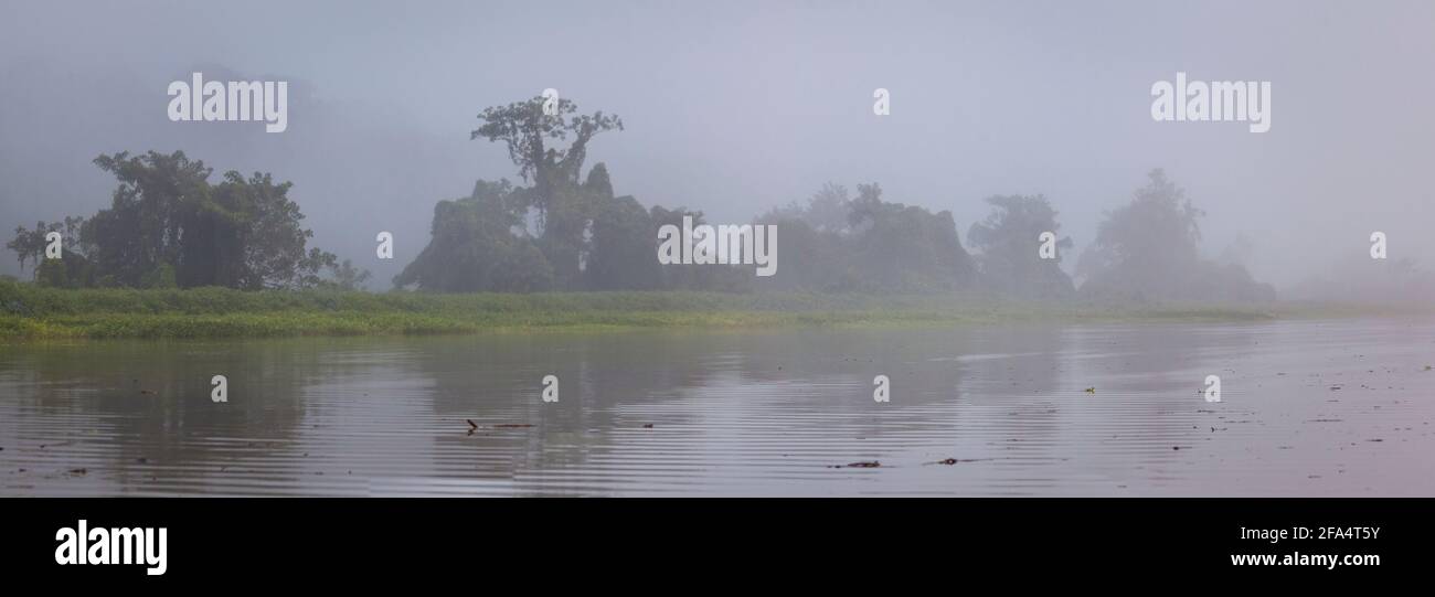 Panoramic view of misty rainforest in early morning light along Rio Chagres in Soberania national park, Republic of Panama. Stock Photo