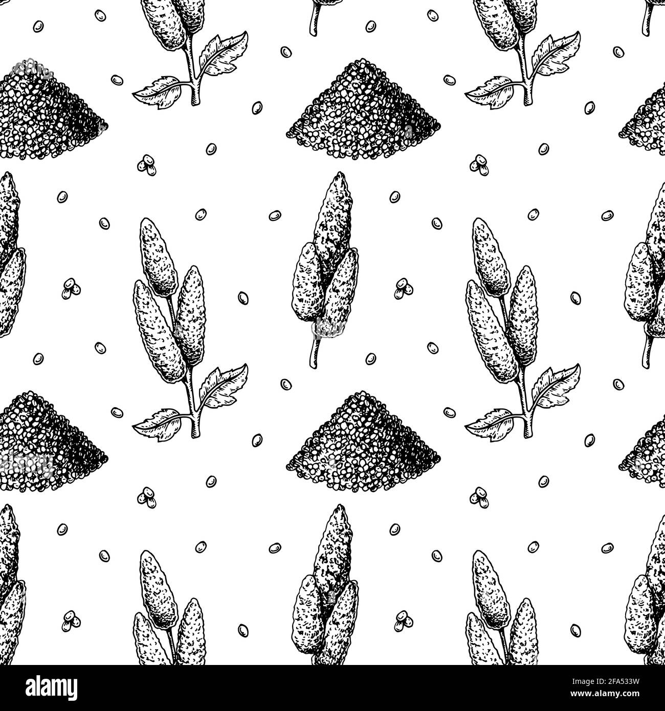 Quinoa seamless pattern. Vector illustration in sketch style Stock