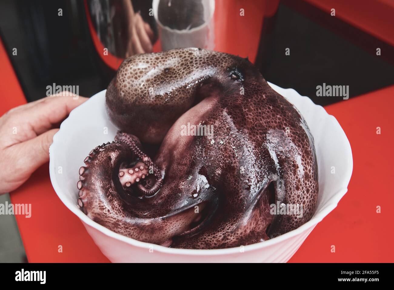 Raw octopus ready to be cooked. Galician octopus style. Stock Photo