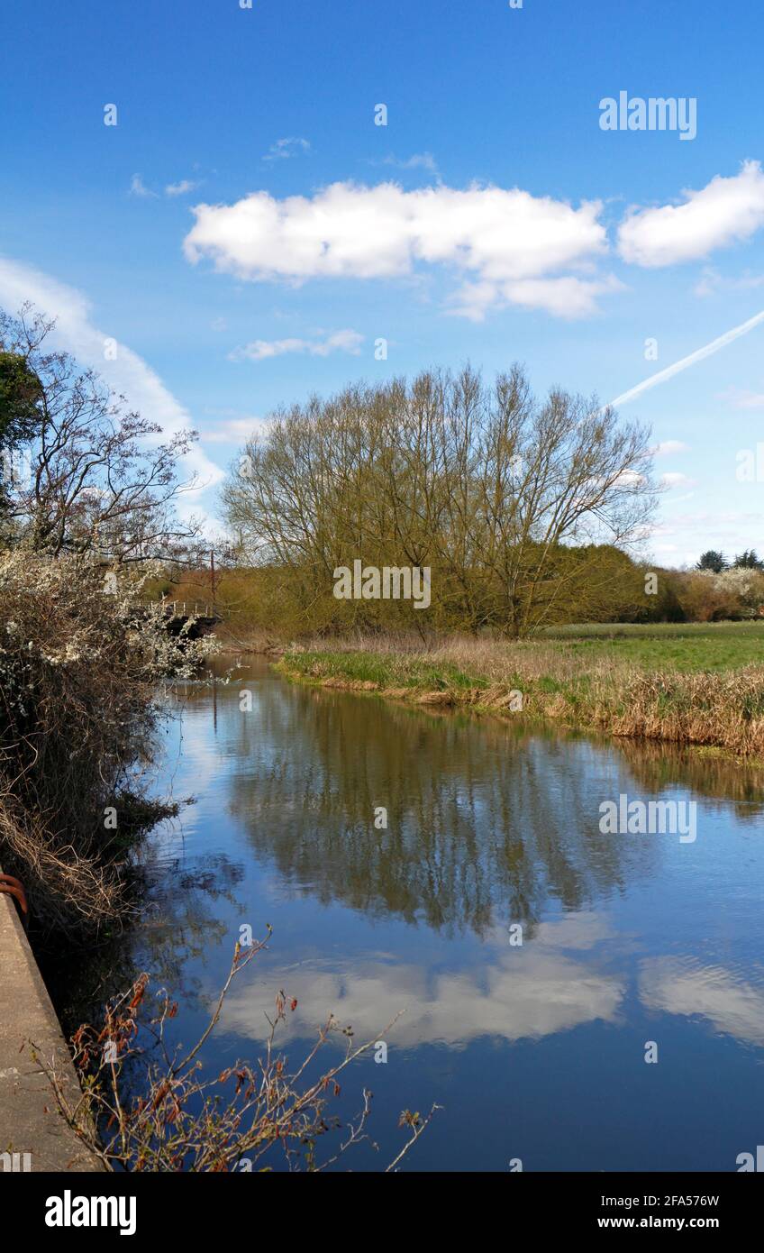 A view of the River Wensum with reflections in early spring in the countryside at Ringland, Norfolk, England, United Kingdom. Stock Photo