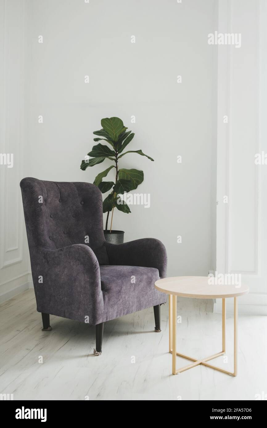 Modern armchair against white wall in living room interior with plants ...