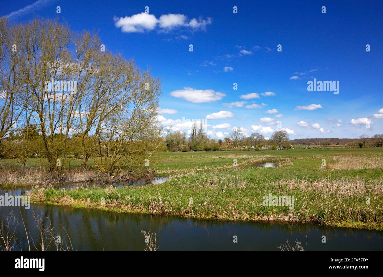 A view over the River Wensum to Low Common in early spring in the countryside at Ringland, Norfolk, England, United Kingdom. Stock Photo
