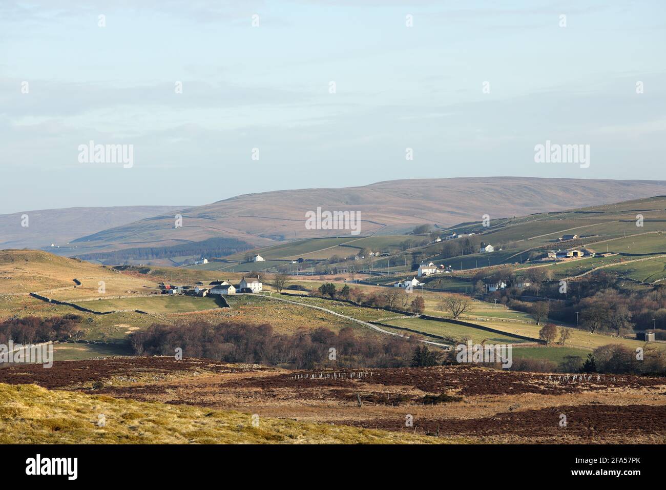 Early Morning Light Striking the White Painted Farms of Raby Estates in Forest in Teesdale and Langdon Beck, Viewed from Holwick Fell, Upper Teesdale, Stock Photo