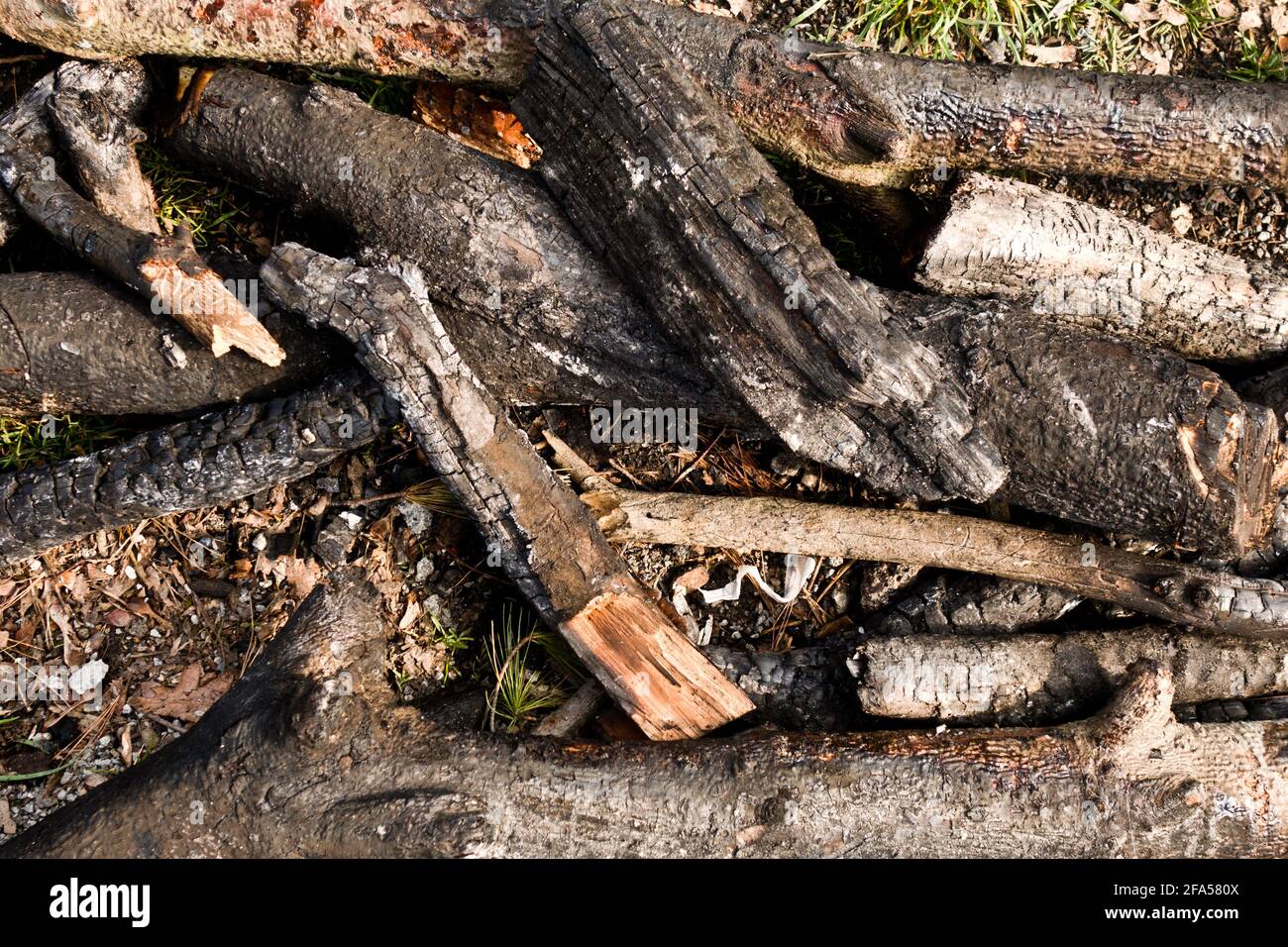 burnt wood at a campfire Stock Photo