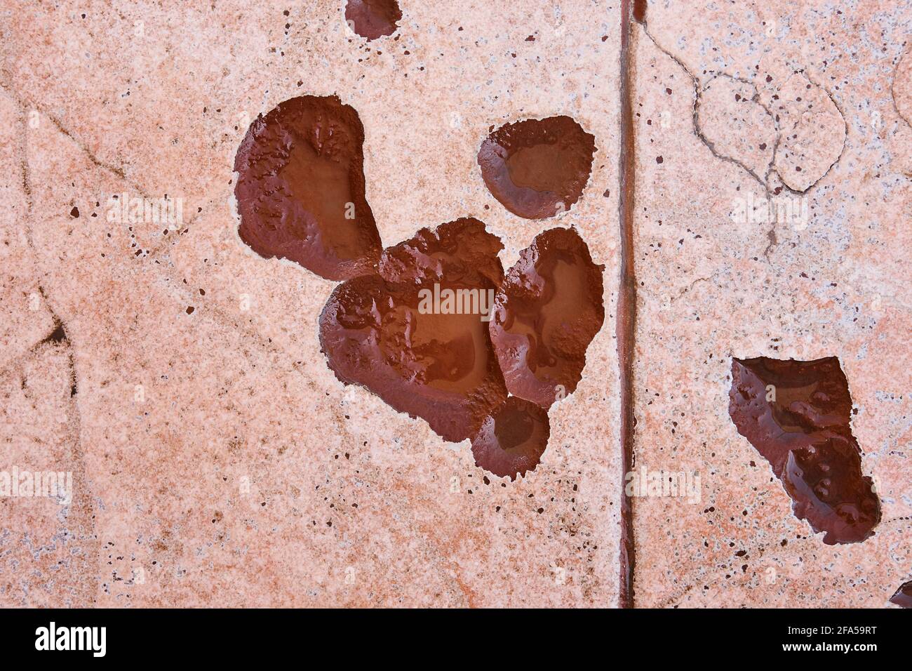 Wet broken floor tile detail. Construction issues. Damaged surface. Cracked Stock Photo