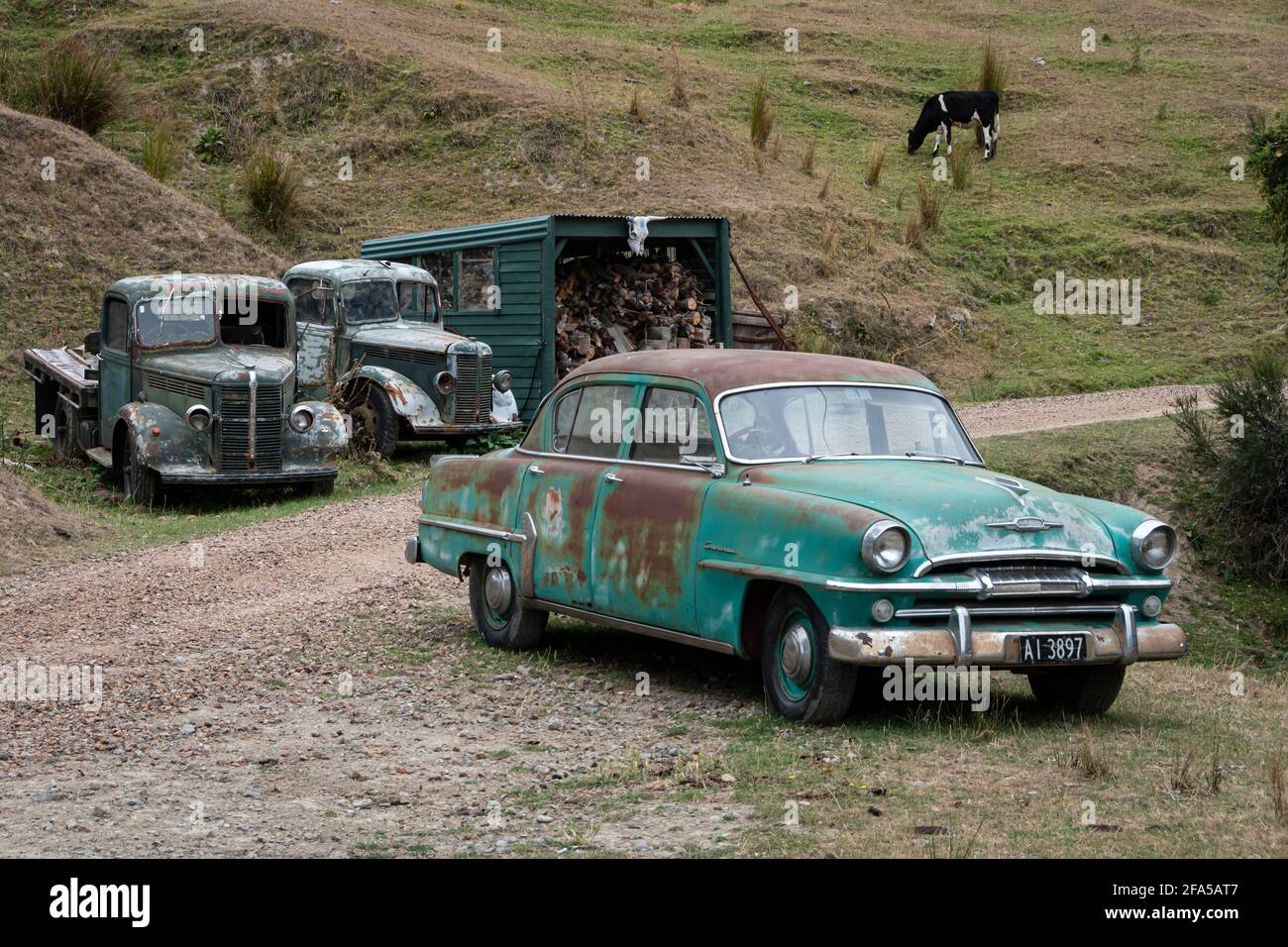 Derelict Bedford trucks, Lyttelton, Christchurch, Canterbury, South Island, New Zealand Stock Photo