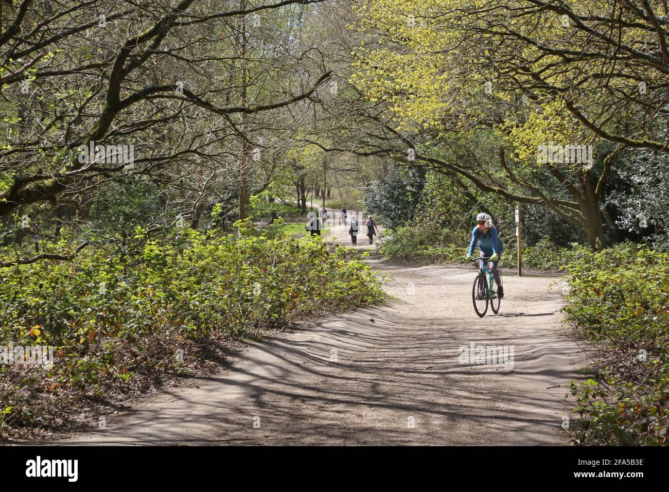 A cyclist on Wimbledon Common, south west London, UK. Stock Photo