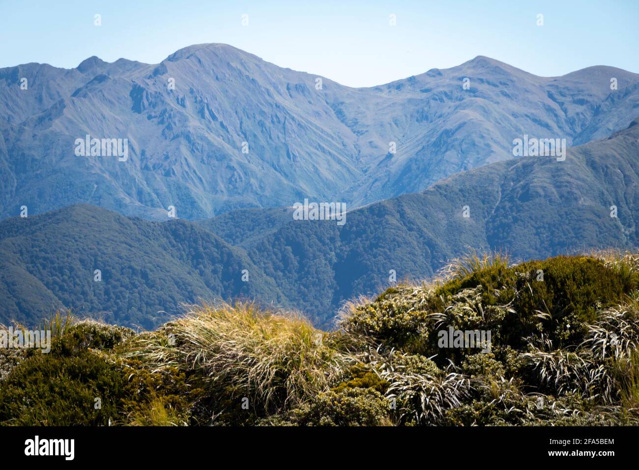 Mountain ranges from Mount Holdsworth, Tararua Forest Park, North ...