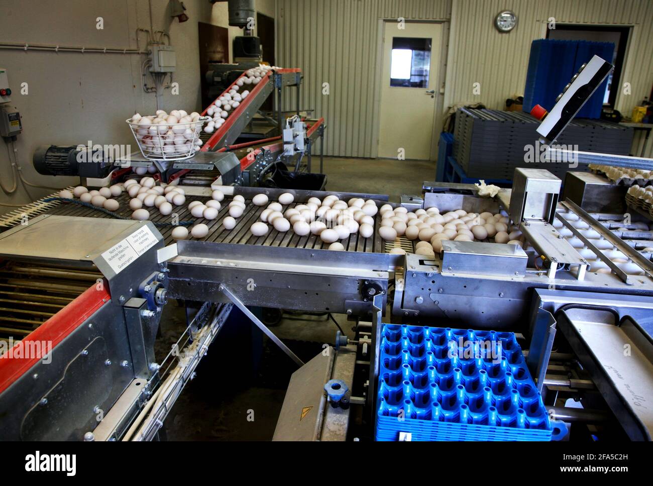 Organic egg production Stock Photo - Alamy