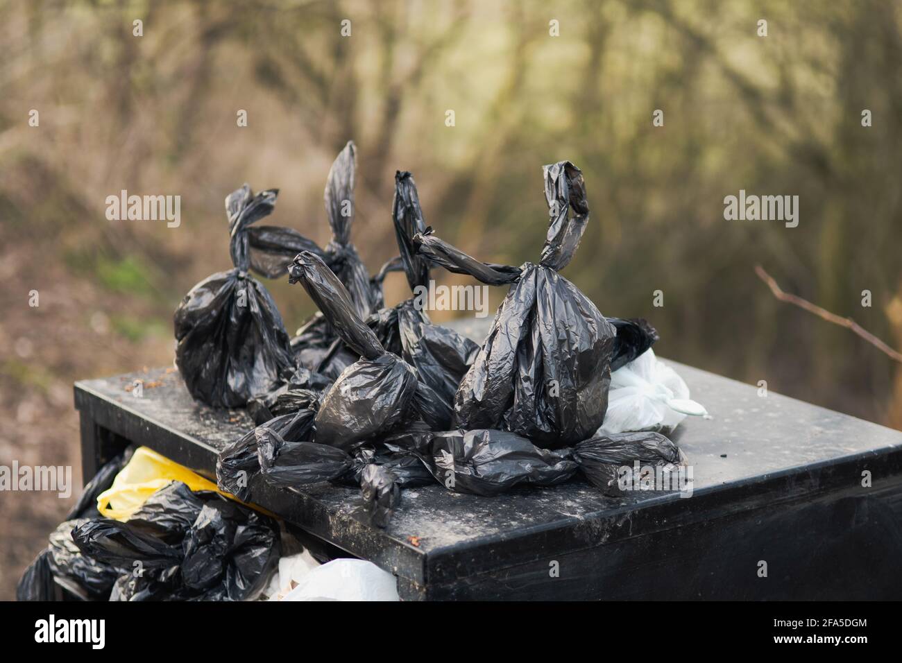 Dog poo bin bags on overfilled trash or bin in public park in Barnsley