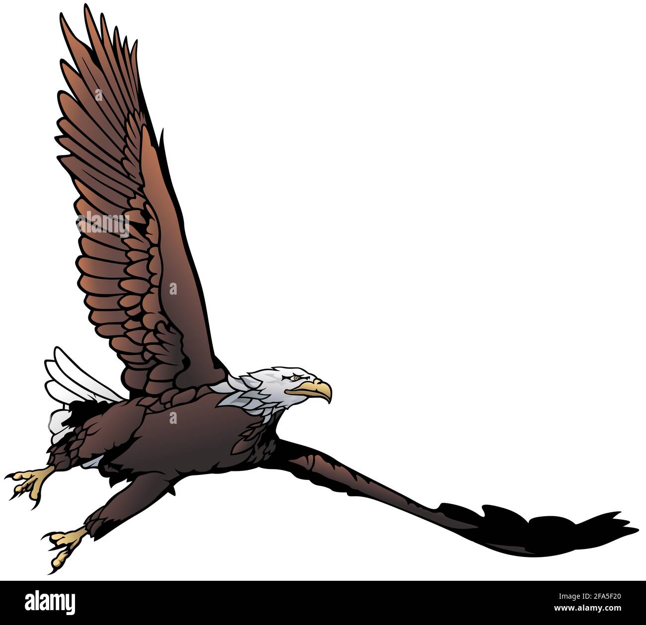 Flying Bald Eagle Stock Vector Image &amp; Art - Alamy