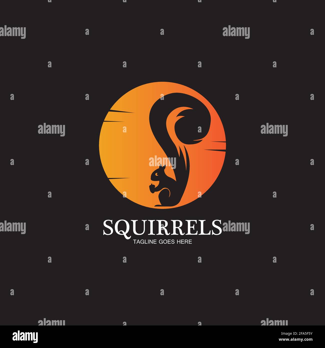 creative squirrel animal logo design icon symbol illustration-vector Stock Vector