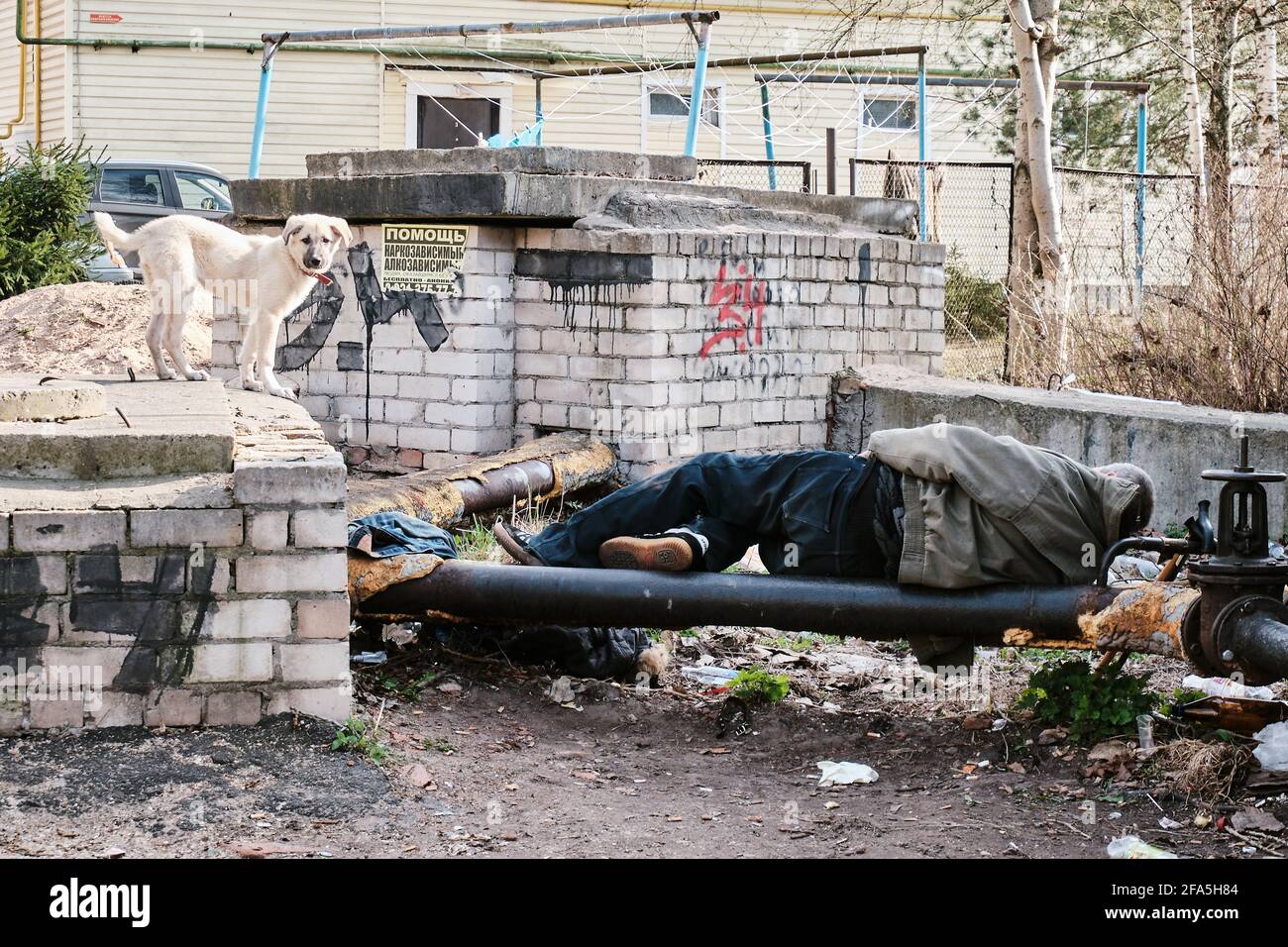 Novgorod, Russia, Aleksandr Kirillov - 04222021: 'A drunk homeless man sleeps on a pipe, his dog is standing nearby' Stock Photo