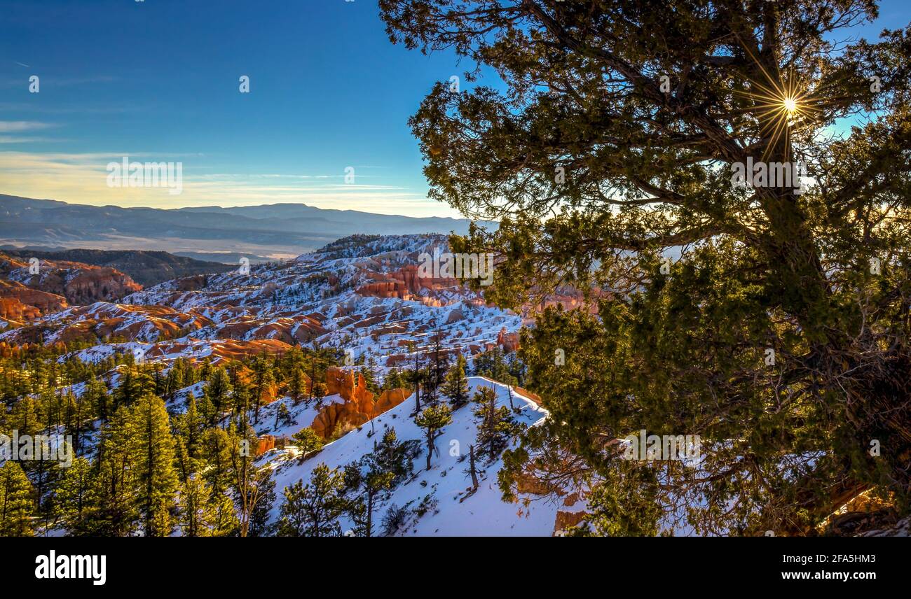 Bryce Canyon National Park Utah, USA, as seen in winter with snow covering the famous hoodoo rock formations. Stock Photo