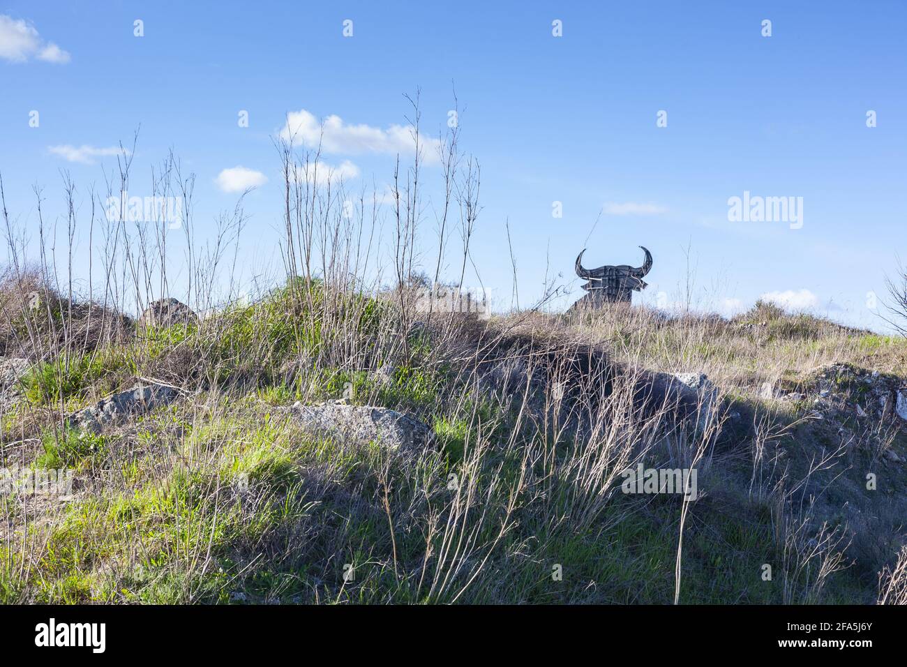 PLASENCIA, SPAIN - Apr 22, 2021: Casar de Caceres, Caceres, Spain - February 22, 2021: Silhouette of a bull in the field in Spain, the black bull is a Stock Photo