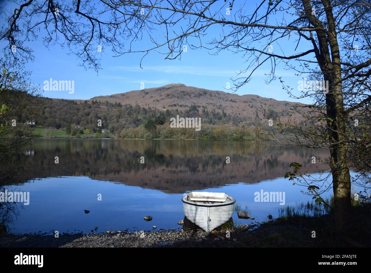 Beautiful spring morning scene looking across Grasmere lake taking in Grasmere island the high overlook point of Silver How reflecting on its surface. Stock Photo
