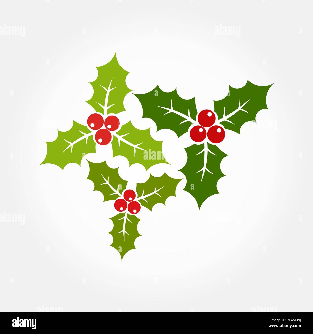 Christmas holly berries icons illustration Stock Vector Image & Art - Alamy