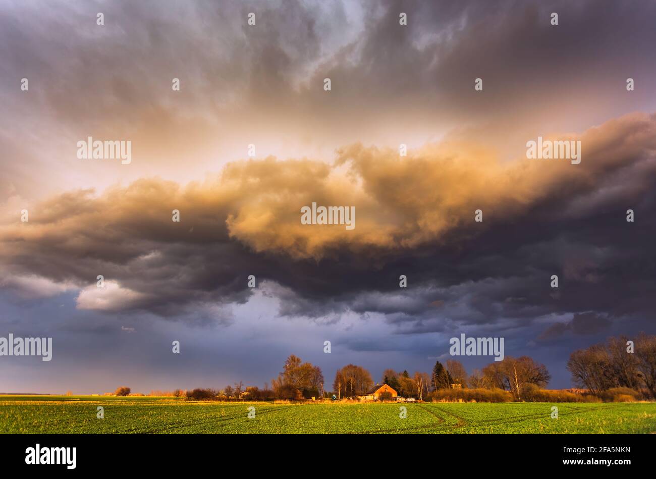Storm Clouds in sunset light, dramatic storm clouds Stock Photo
