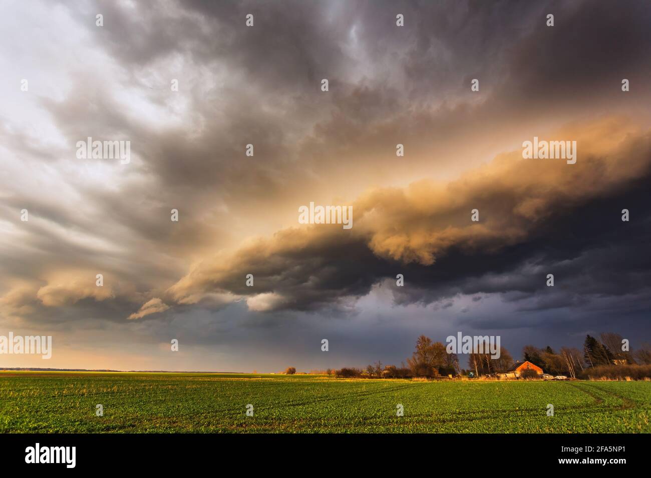 Storm Clouds in sunset light, dramatic storm clouds Stock Photo