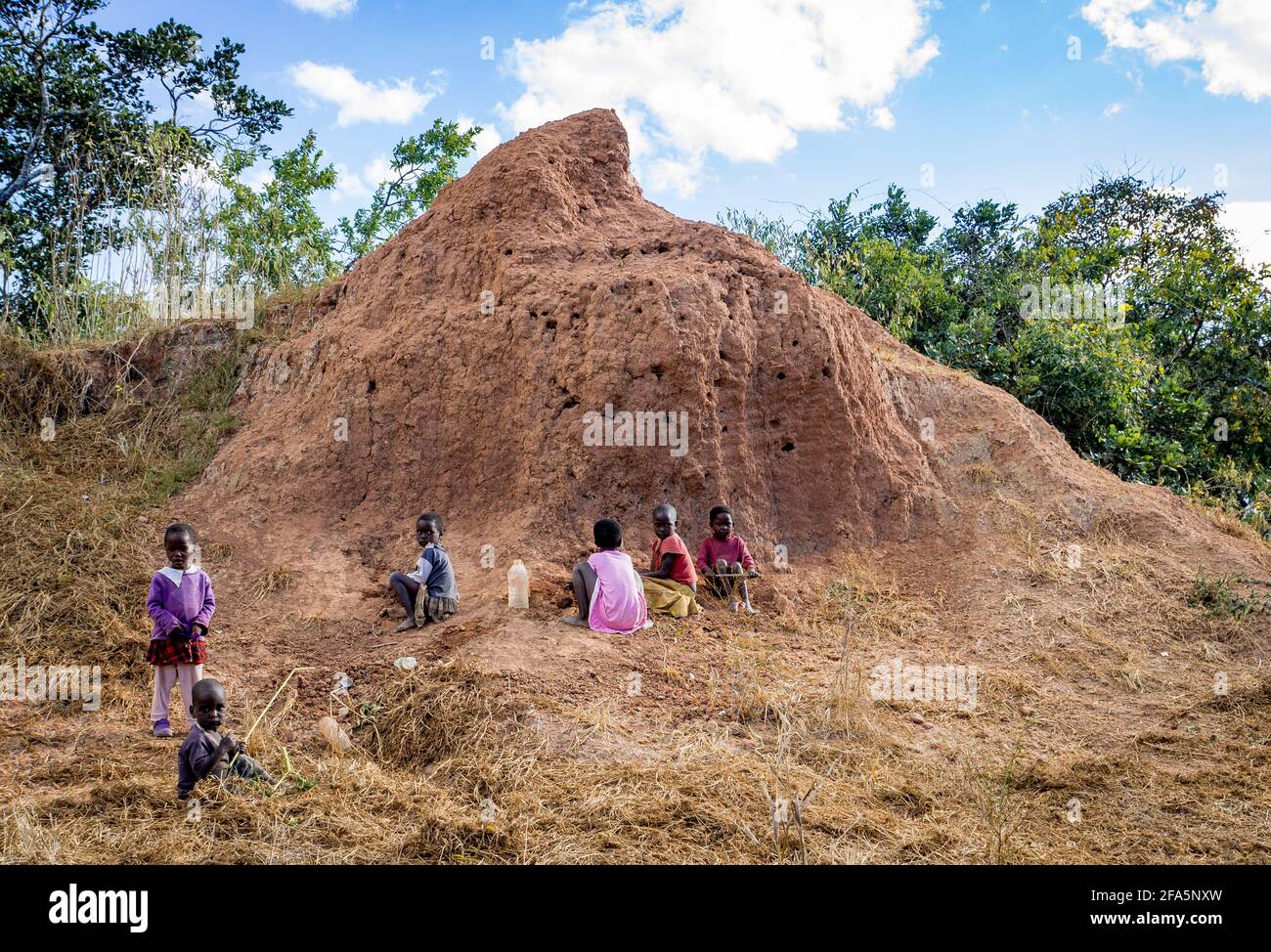Children playing around a termite mound in northern Malawi Stock Photo