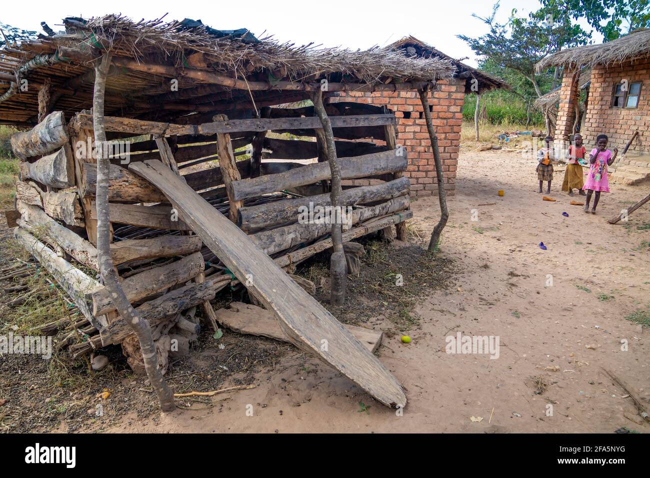 Chicken farm africa hires stock photography and images Alamy
