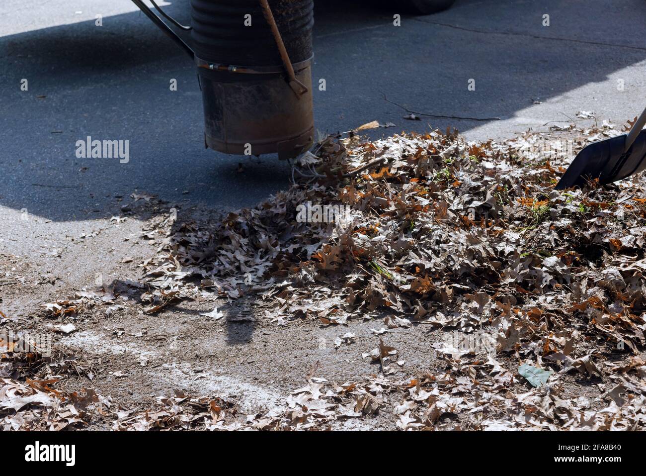 Man using vacuum for cleaning leaf of the road autumn season Stock Photo