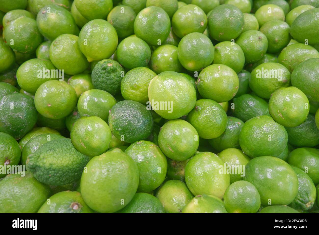 Green apples. Stock Photo