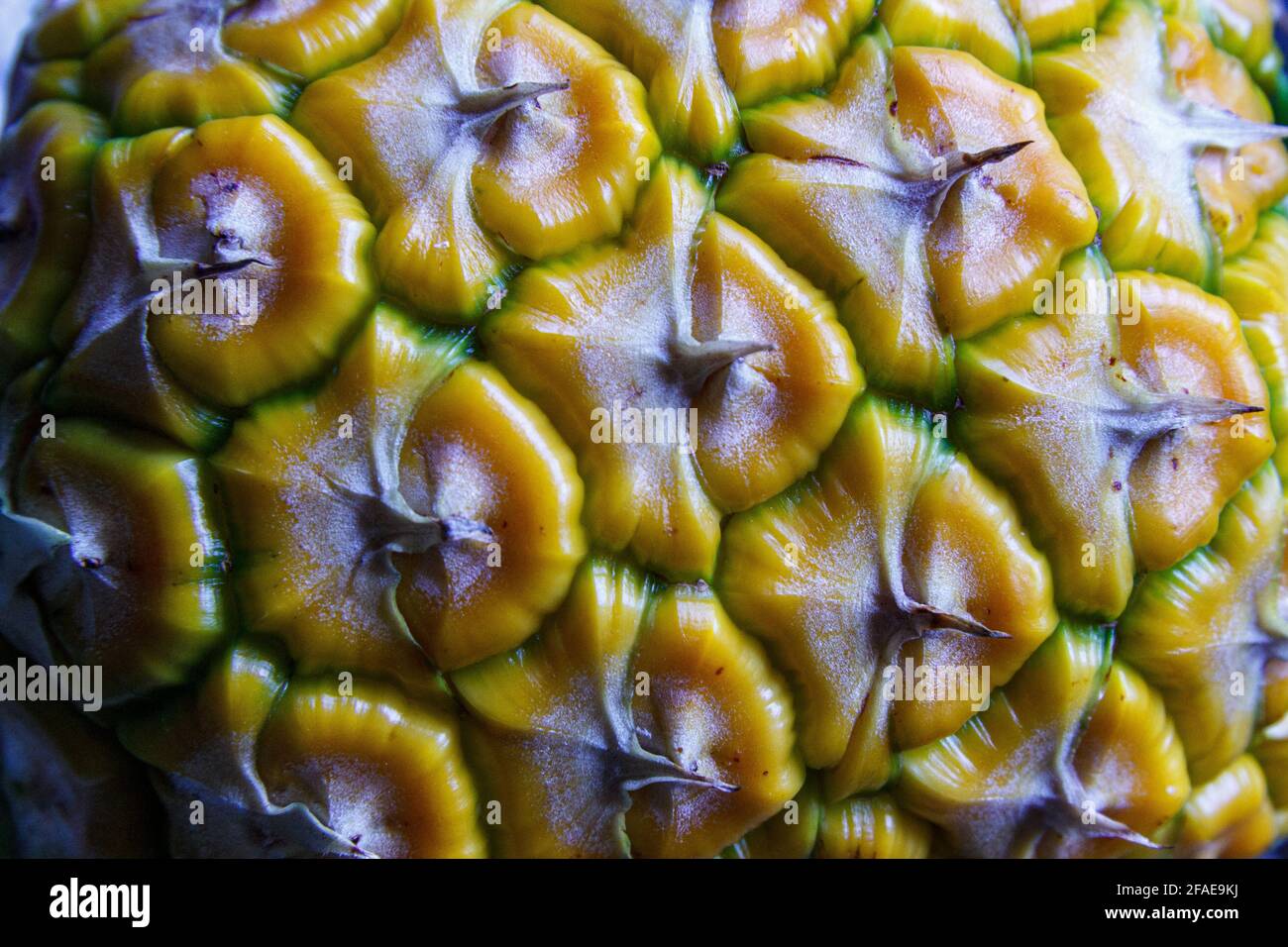 Ripe pineapple rind Stock Photo