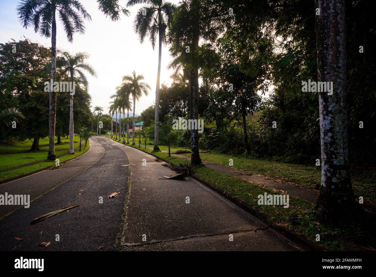 Street in the town of Gamboa, Colon province, Republic of Panama, Central America. Stock Photo