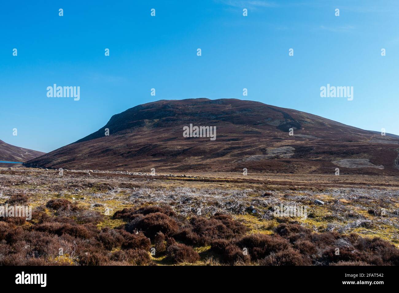 Meall Chuaich, a Munro mountain near Dalwhinnie, Scotland Stock Photo