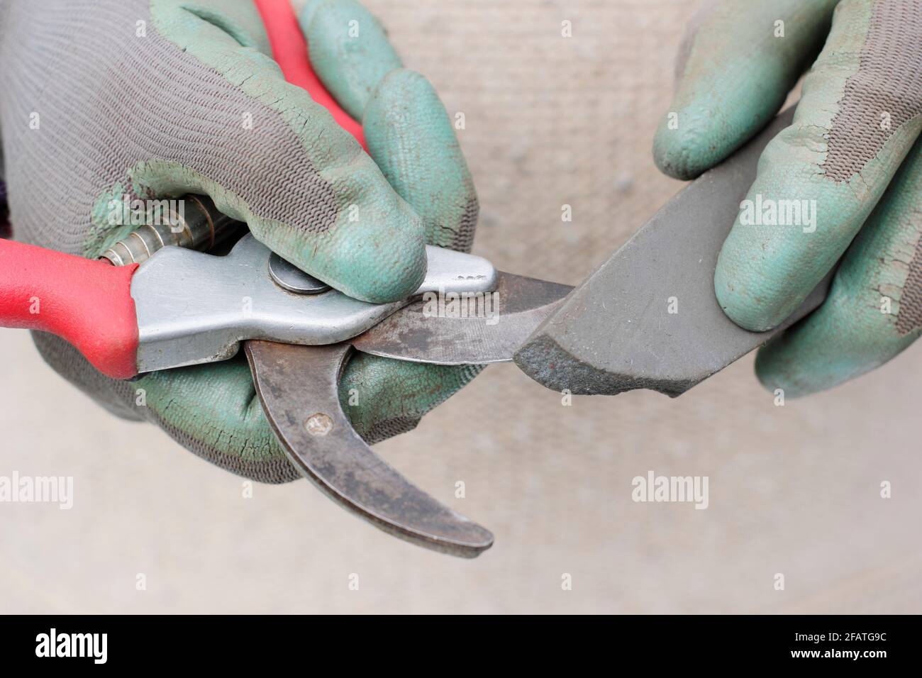 Secateurs sharpening stone hires stock photography and images Alamy