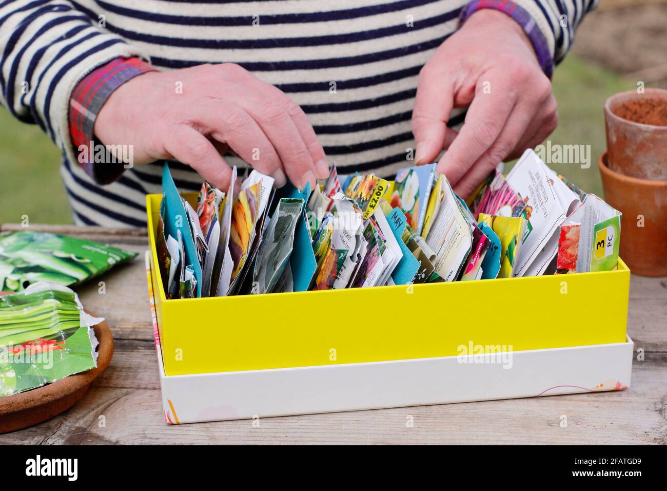 Vegetable and flower seed packets. Gardener sorting through seed