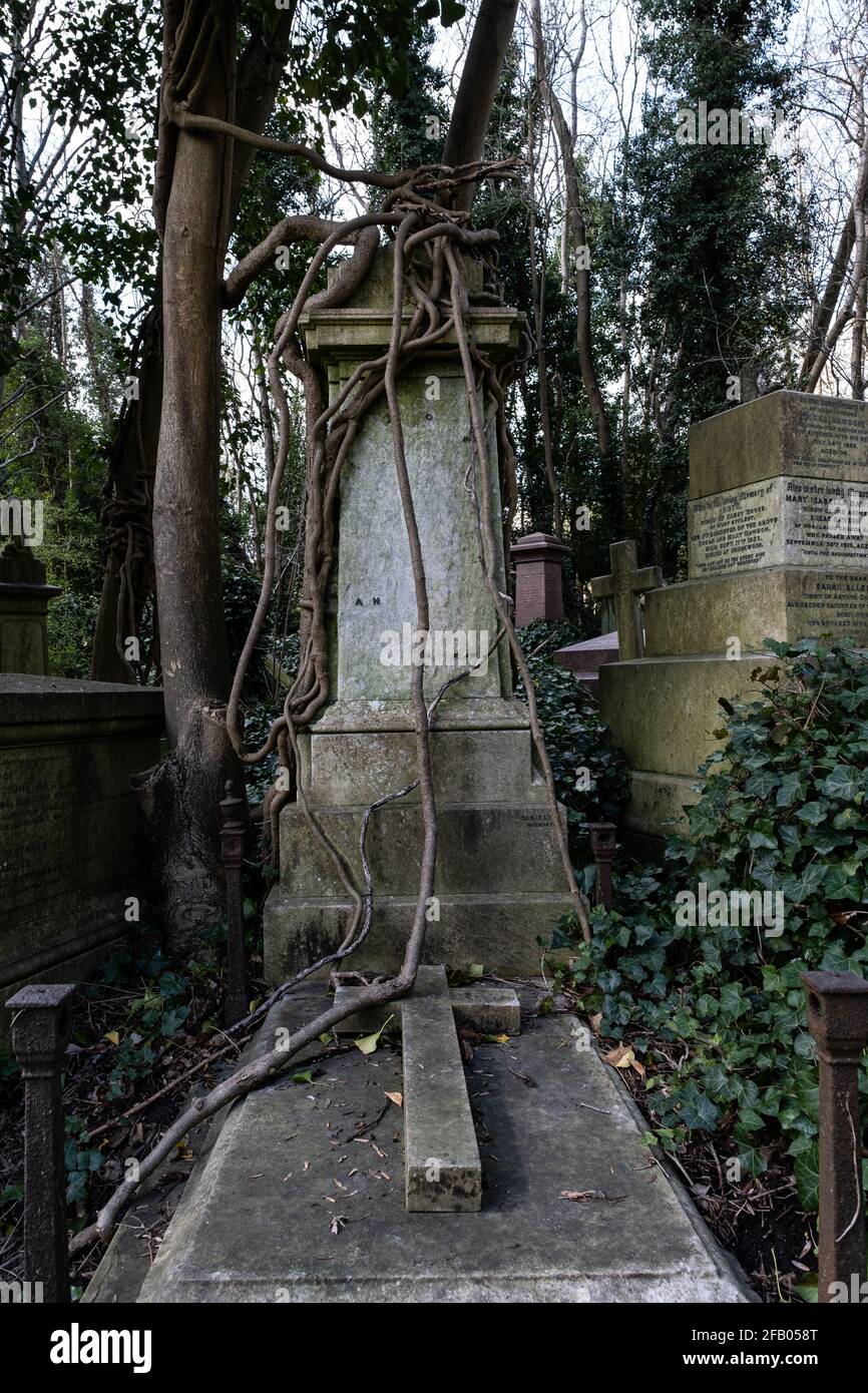 Broken Old Headstones In Graveyard High Resolution Stock Photography ...