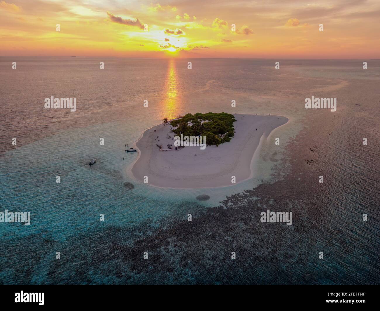 untouched uninhabited small island with palm trees (aerial drone shot) in maldives remote area Stock Photo