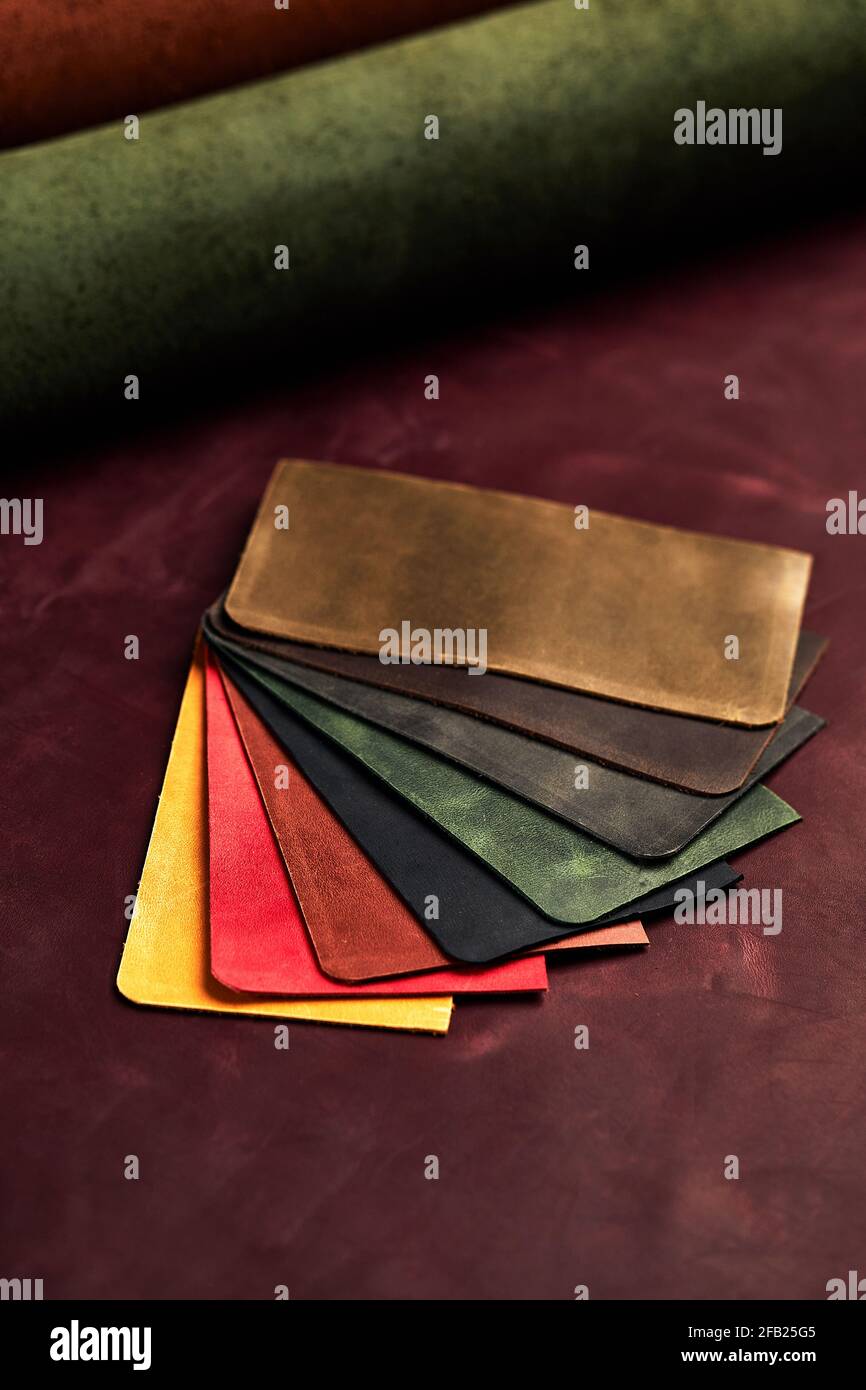 Artificial leather samples on a cow leather background. Top view Stock Photo