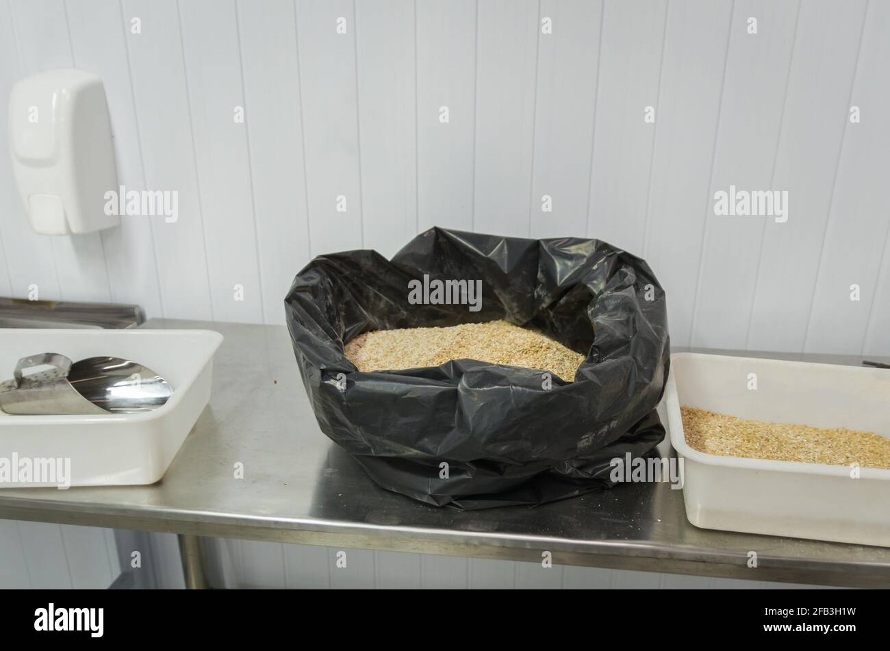 Barley malt for beer, pale ale, pilsen Stock Photo Alamy