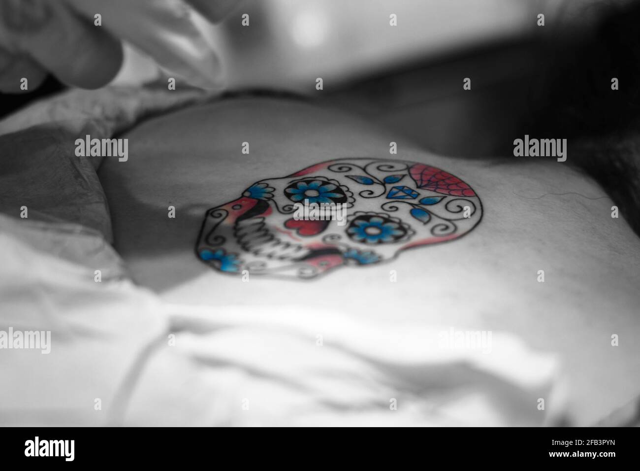 making a tattoo of a sugar skull Stock Photo