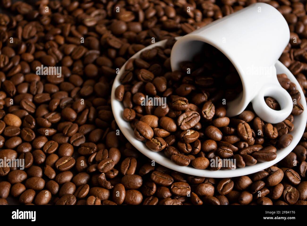 Cup and coffee bean at the black background Stock Photo