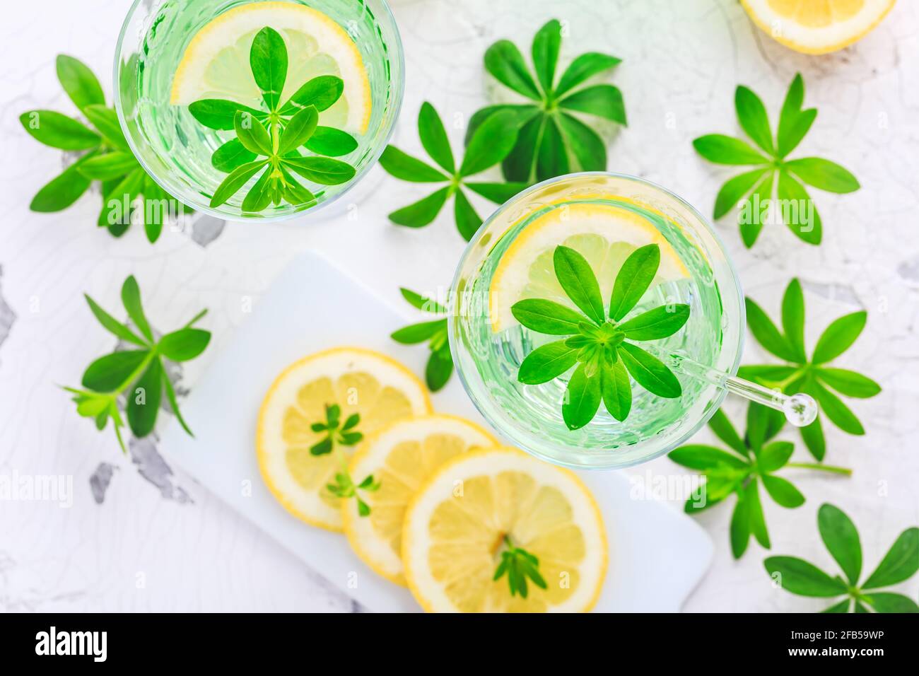 Homemade lemonade with sweet woodruff and lemon (Galium odoratum) Stock Photo