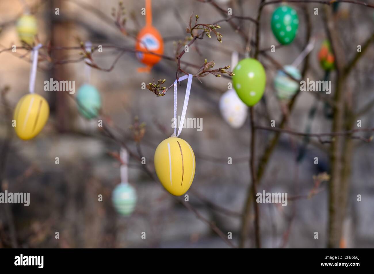 Colourful Easter eggs hanging on a tree close up Stock Photo