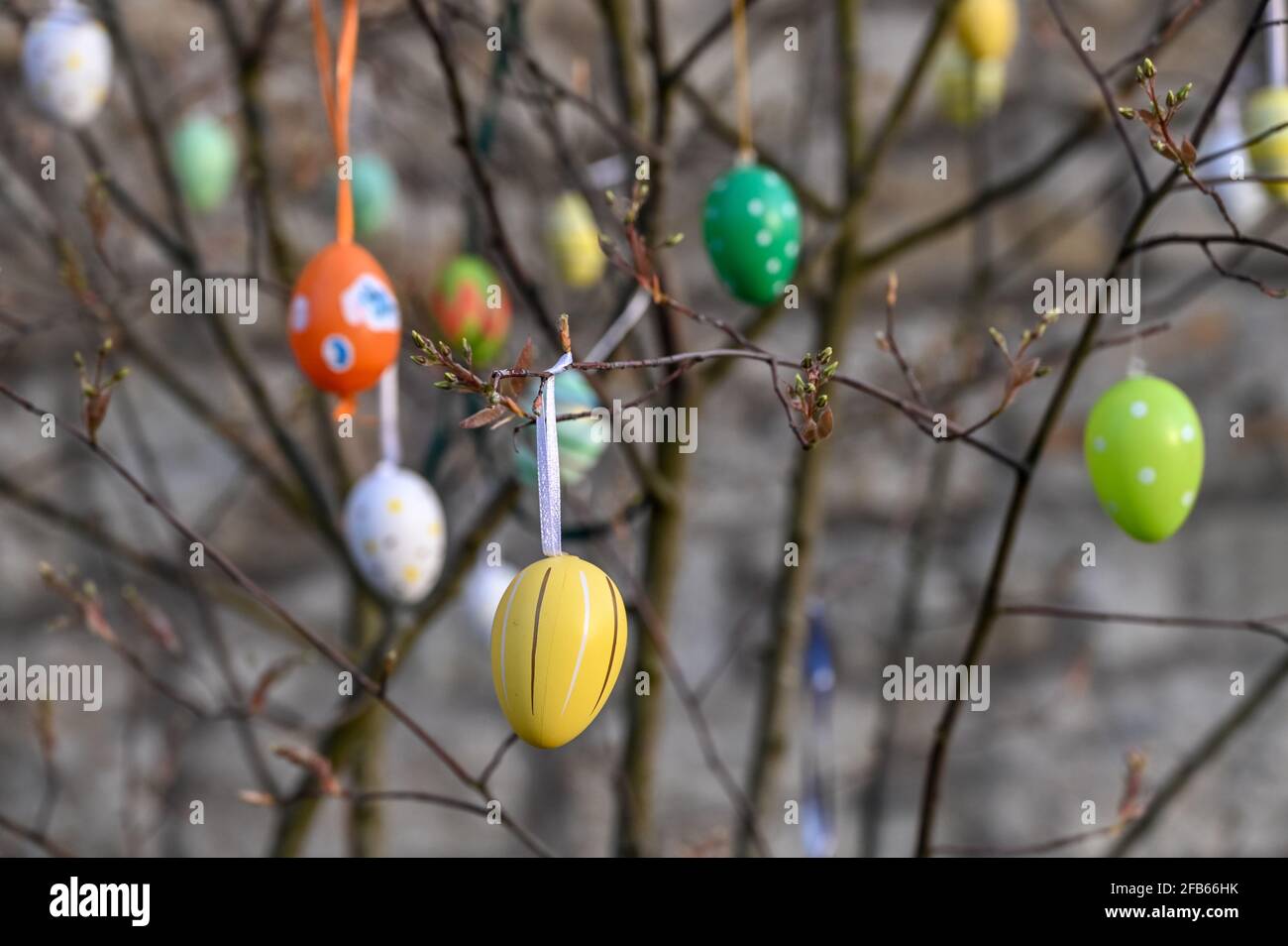 Colourful Easter eggs hanging on a tree close up Stock Photo