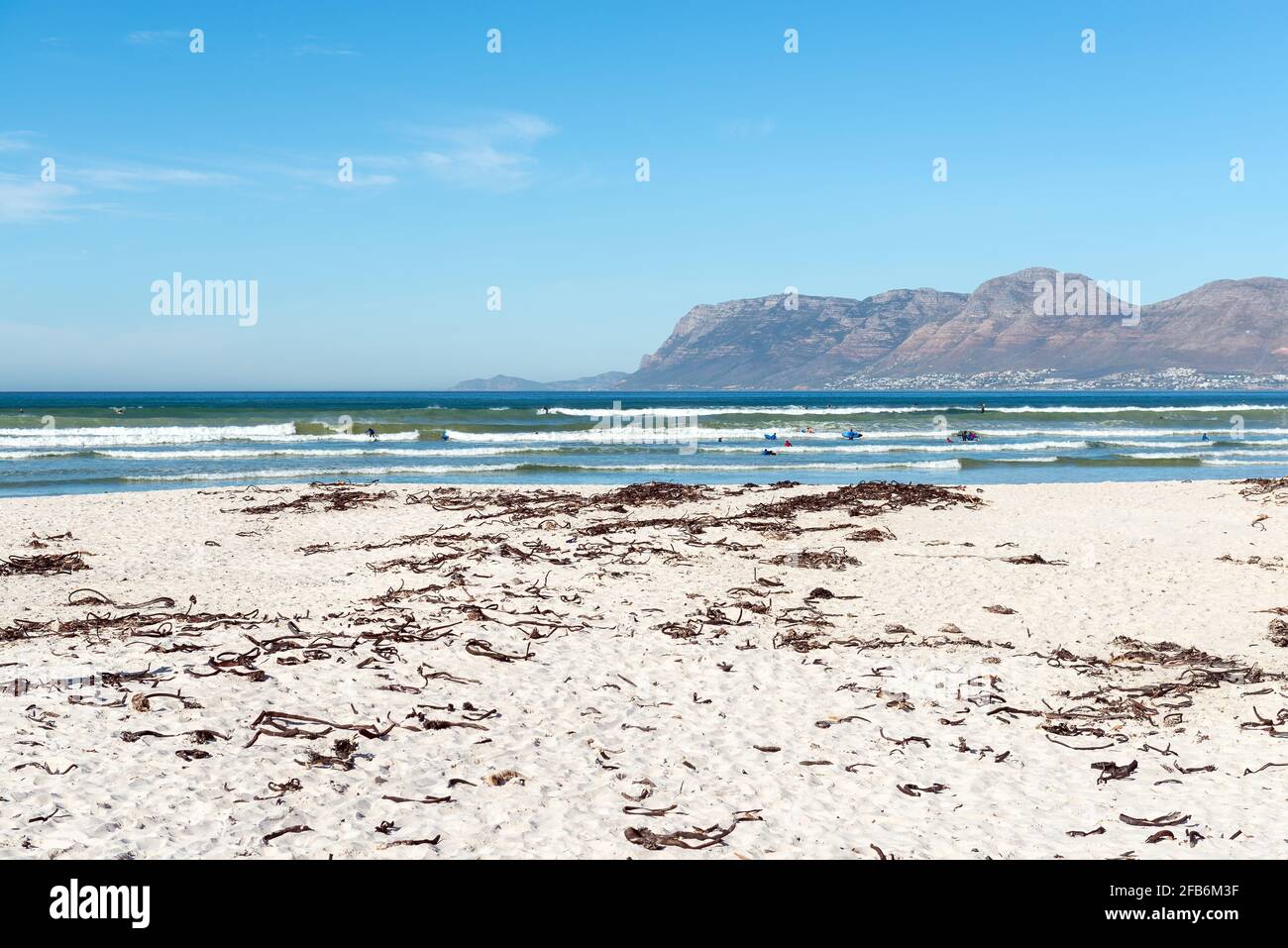 South African people surfing in the waves near Cape Town with Table Mountain background, Muizenberg Beach, South Africa. Stock Photo