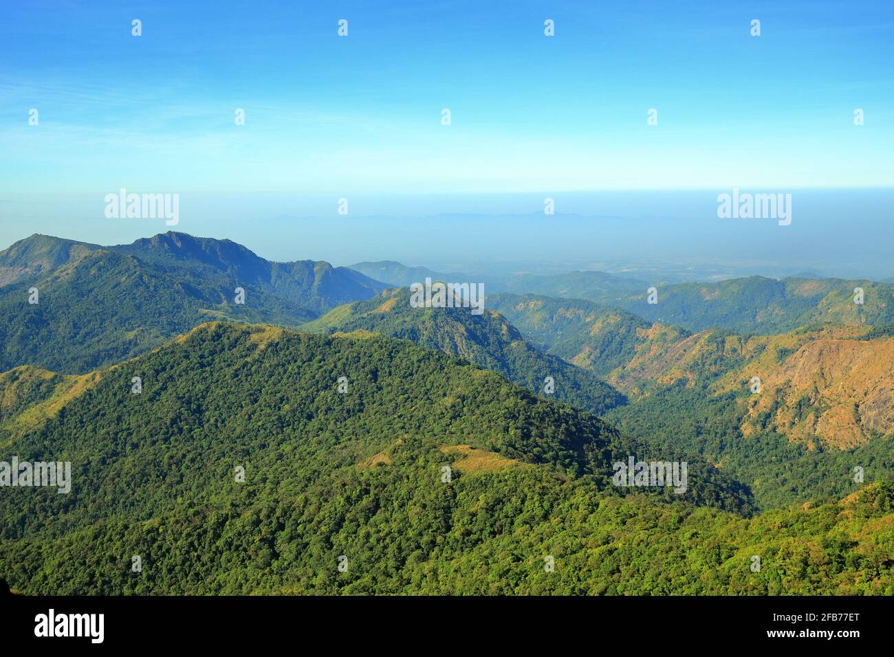The green mountains in the morning are sunny Stock Photo - Alamy