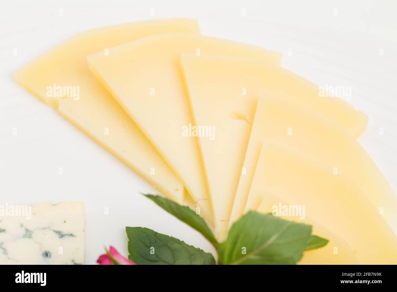 Closeup of sliced gouda cheese. Macro. Photo can be used as a whole