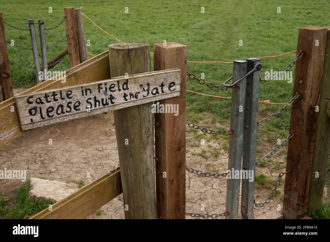 A sign on a gate says 'Cattle in field, please shut the gate', Cambridgeshire, England Stock Photo