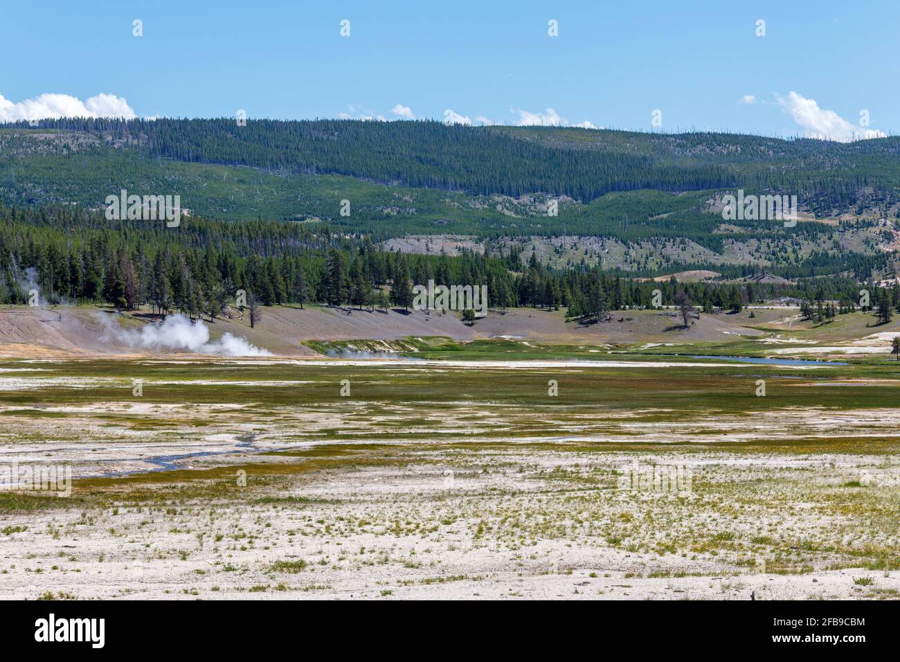 Yellowstone National Park, Montana, USA July 15 2018 Old Faithful and the surrounding area of
