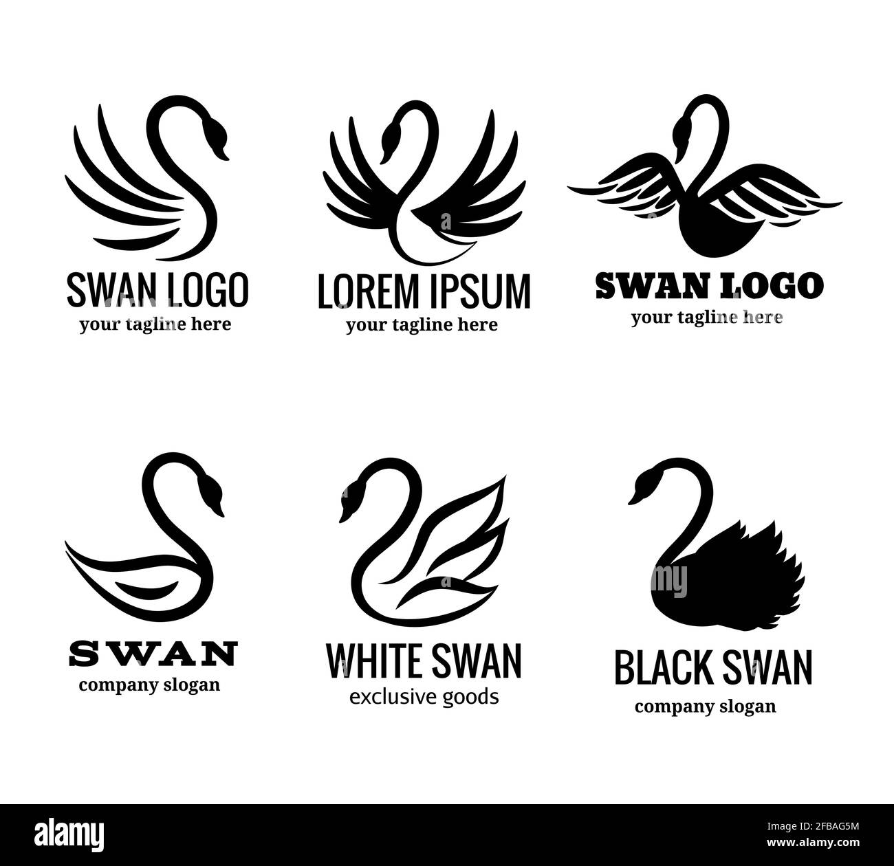 Swan logo set or black swan logotypes vector illustration Stock Vector Image & Art - Alamy