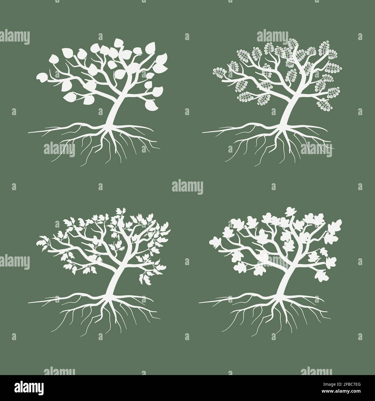 Tree root underground illustration Stock Vector Images - Alamy