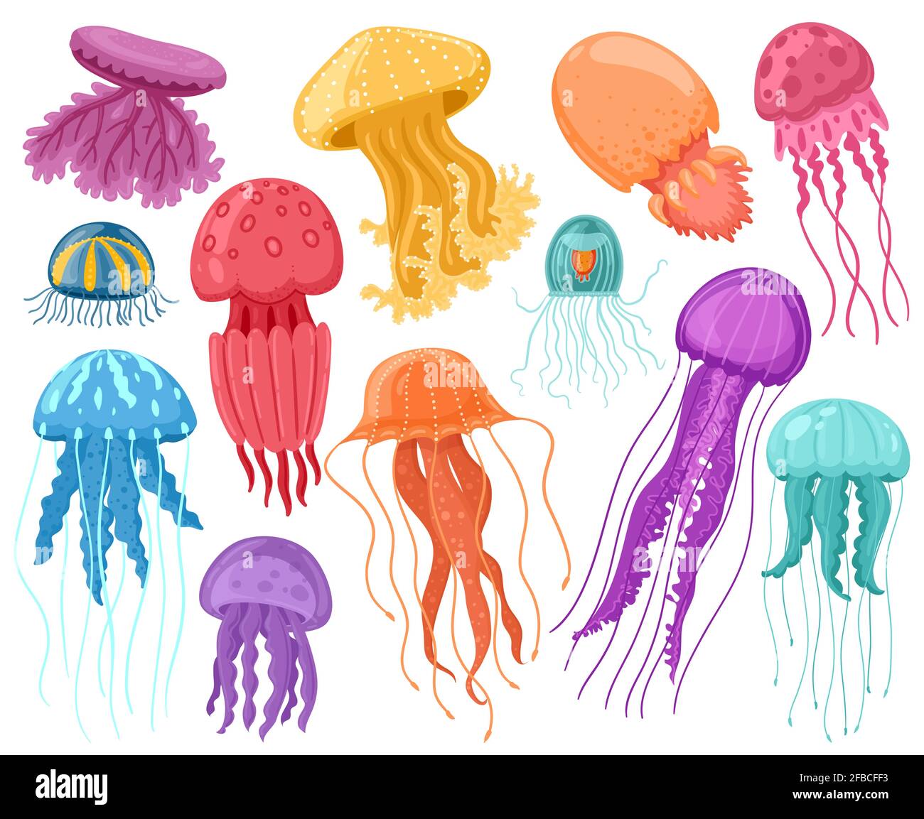 Cartoon ocean jellyfish. Marine underwater jellyfish, ocean sea